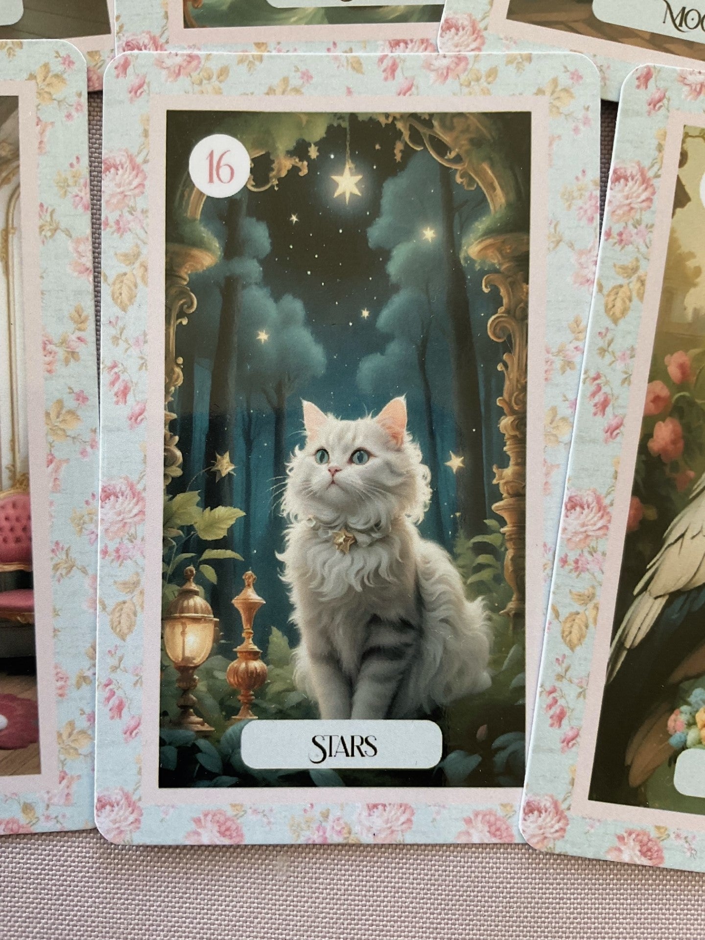 Lenorcats Lenormand, oráculo con 36 ilustraciones inspiradas en nuestros felinos favoritos, gatos!